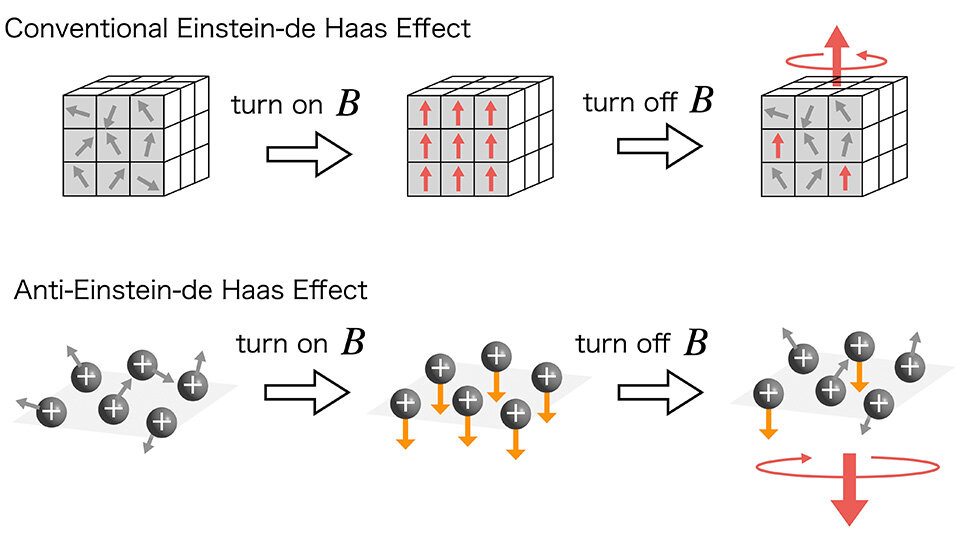 Strong Magnetic Fields Flip Angular Momentum Dynamics in Magnetovortical Matter