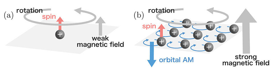 Strong Magnetic Fields Flip Angular Momentum Dynamics in Magnetovortical Matter
