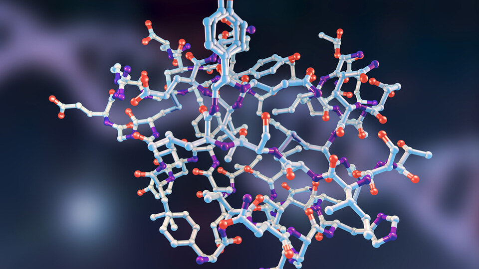 Scientists Discover New Enzyme Families That Break Down Rare Bacterial Carbohydrates