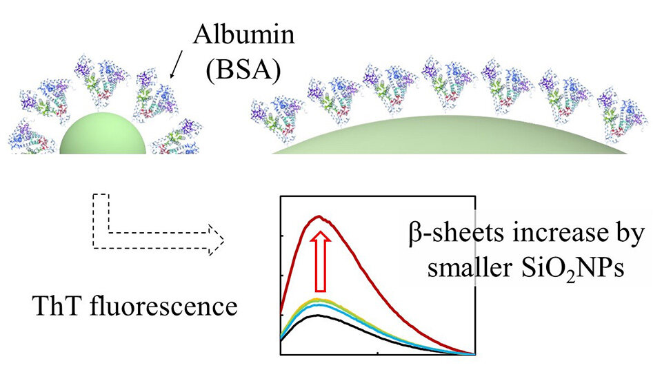 Unraveling Protein-Nanoparticle Interactions Using Biophysics