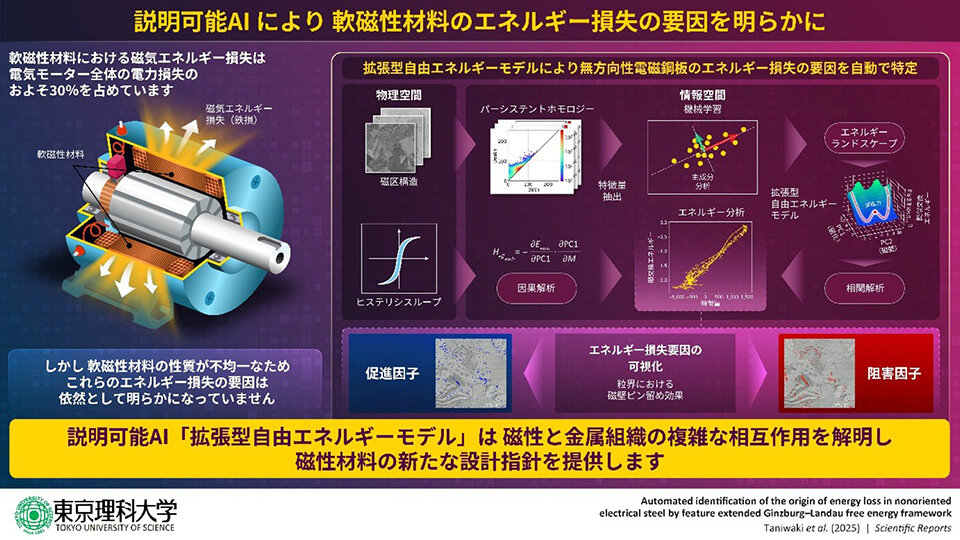Novel Feature-Extended Analysis Unlocks the Origin of Energy Loss in Electrical Steel