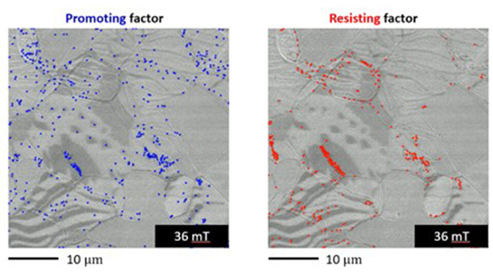 Novel Feature-Extended Analysis Unlocks the Origin of Energy Loss in Electrical Steel