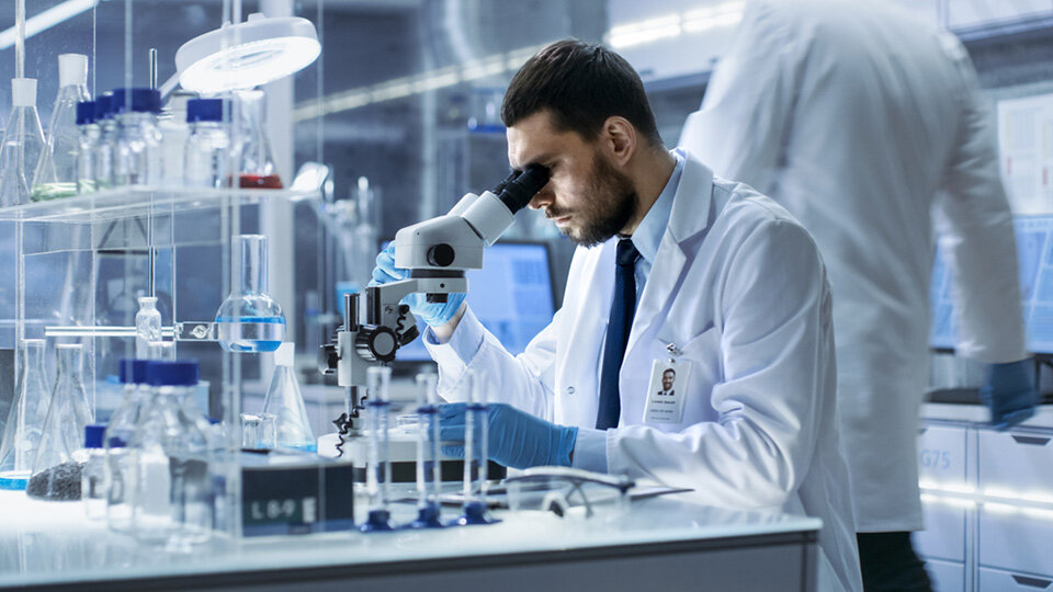 From Longevity to Cancer: Understanding the Dual Nature of Polyamines