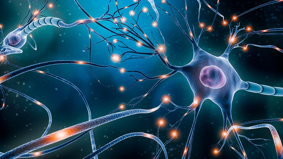 Mapping Causality in Neuronal Activity: Towards a Better Understanding of Brain Networks