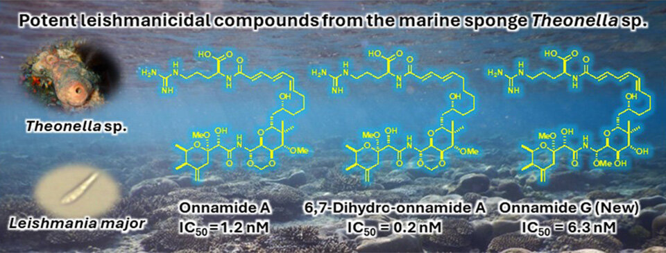 A Promising Treatment for Leishmaniasis Found in Okinawan Marine Sponges