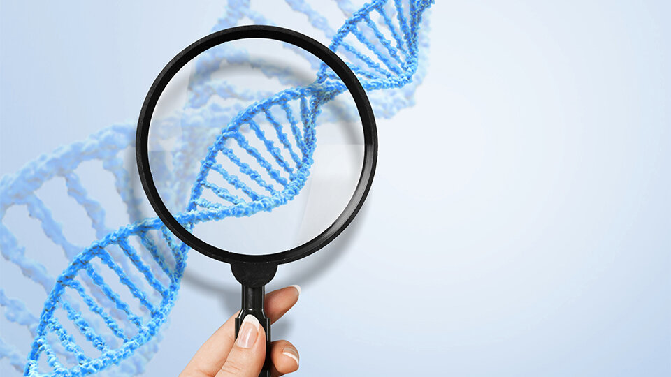 Decoding the T-Cell Burst: Signature Genes That Predict T-Cell Expansion in Cancer Immunotherapy