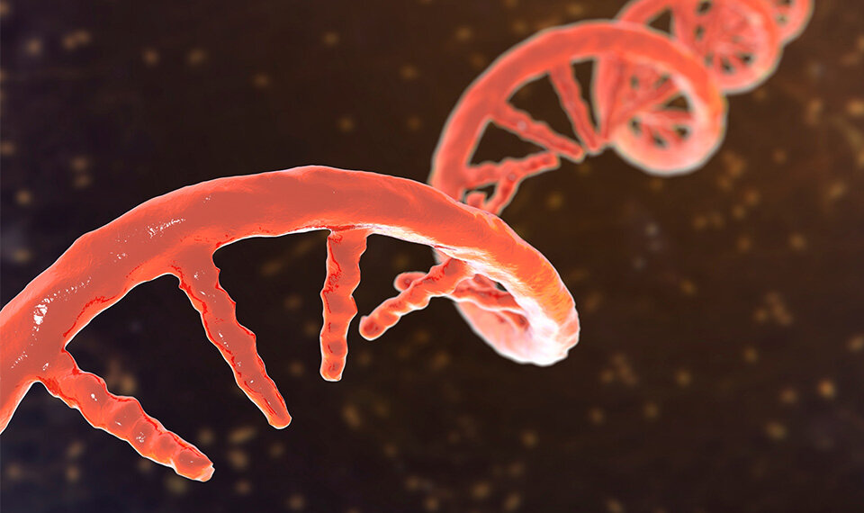 Advanced Molecular Dynamics Simulations Capture RNA Folding with High Accuracy
