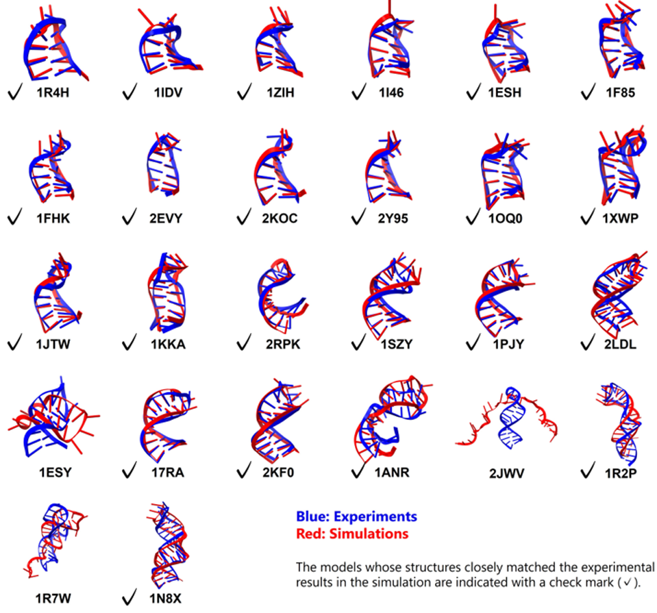 Advanced Molecular Dynamics Simulations Capture RNA Folding with High Accuracy