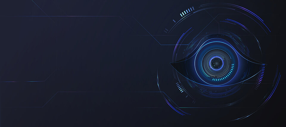 Approximate Domain Unlearning: Enabling Safer and More Controllable Vision-Language Models