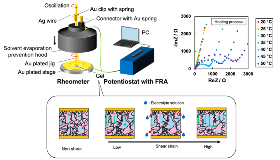 Seeing Inside Smart Gels: Scientists Capture Dynamic Behavior Under Stress