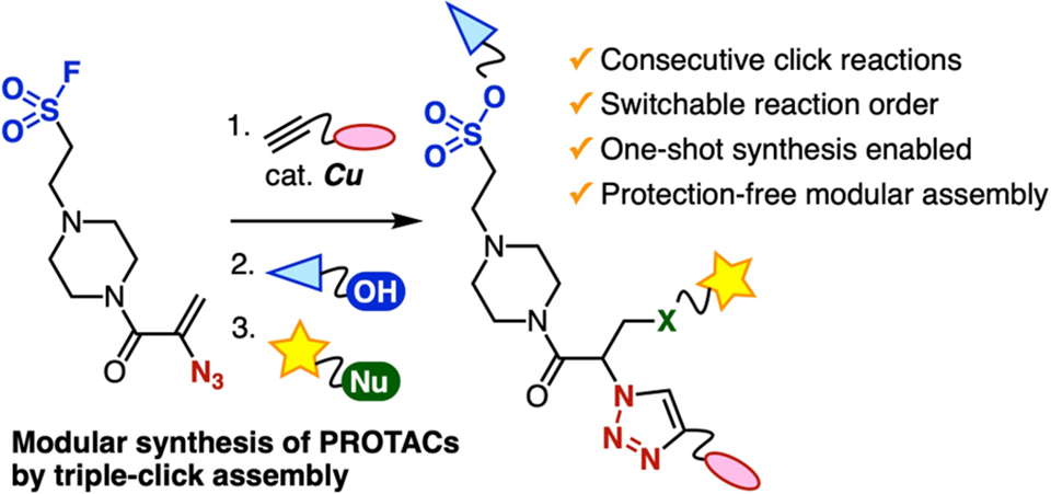 Accelerating Next-Generation Drug Discovery with Click-Based Construction of PROTACs