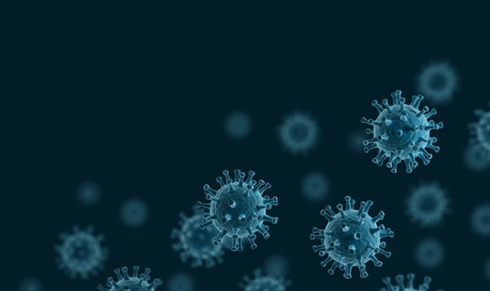 Ushikuvirus: A Newly Discovered Giant Virus May Offer Clues to the Origin of Life