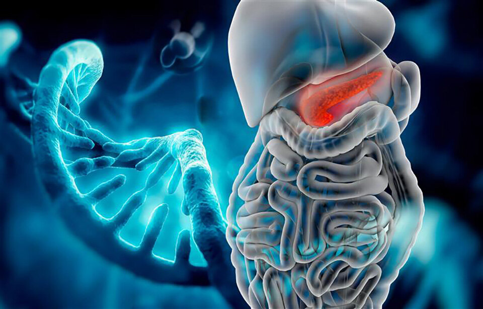 Potential Tumor-Suppressing Gene Identified in Pancreatic Cancer