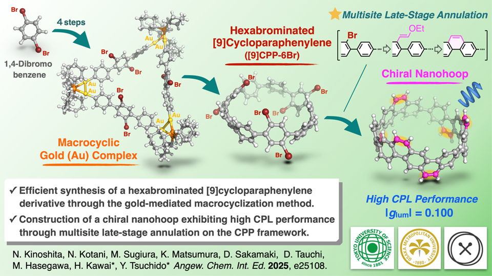 Synthesis of highly functionalized carbon nanohoops