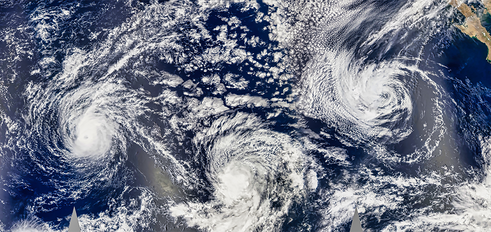 Seeing the Whole from a Part: Revealing Hidden Turbulent Structures from Limited Observations and Equations