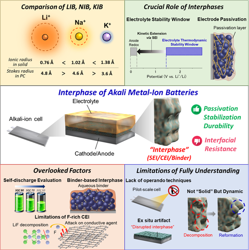 Comprehensive review on the interphase properties of alkali metal-ion batteries