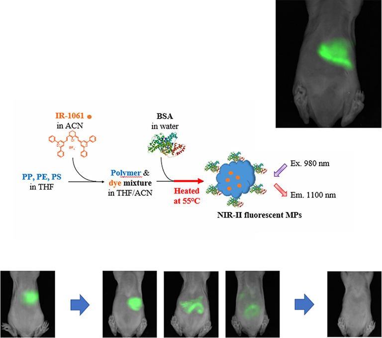 Real-time tracking of microplastics in mice using second near-infrared (NIR-II) fluorescence imaging