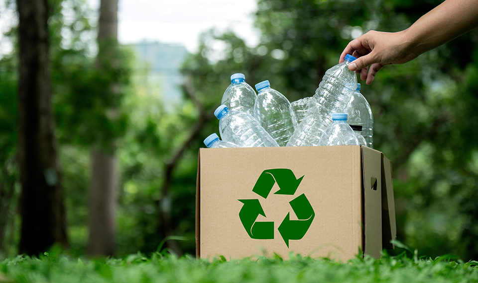 Scientists Unveil How Heat-Loving Enzyme Could Help Improve Plastic Recycling