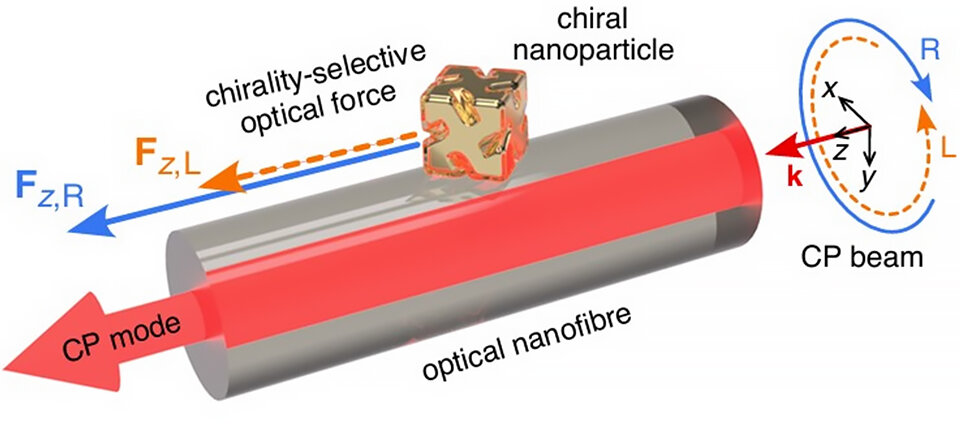 Selective optical transport of chiral nanoparticles