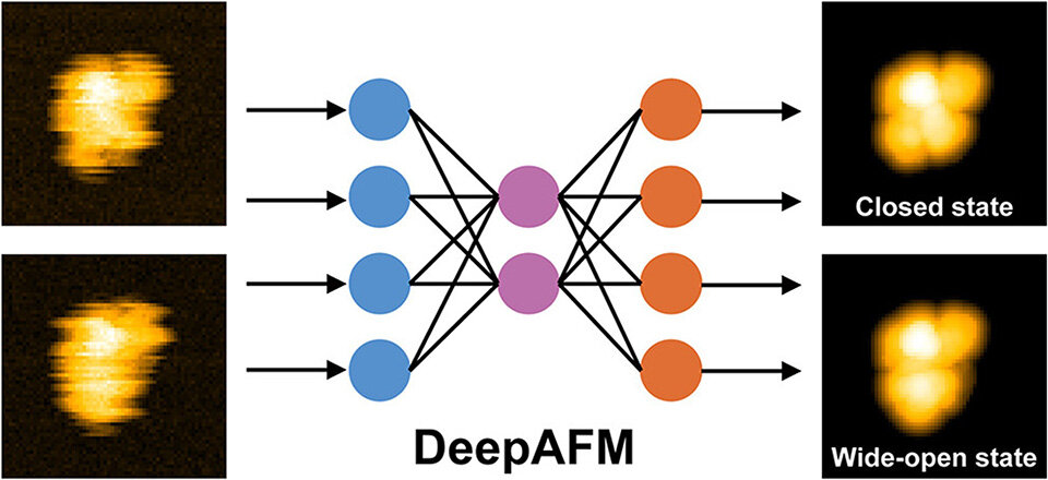 AI improves accuracy in tracking protein motion at the nanoscale