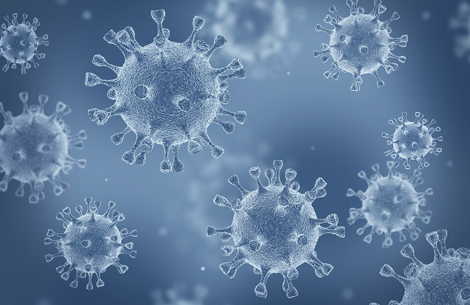 Discovery of Furtivovirus Advances Understanding of Giant Virus Evolution