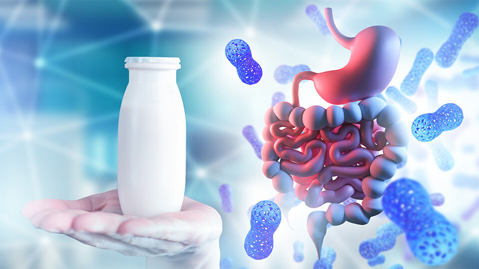 Beyond Nutrition: Role of Dietary Fiber Metabolites in the Development of Dendritic Cells