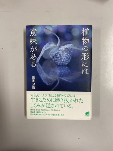 植物の形には意味がある