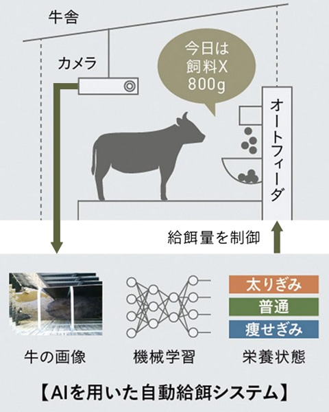 AIを用いた自動給餌システム