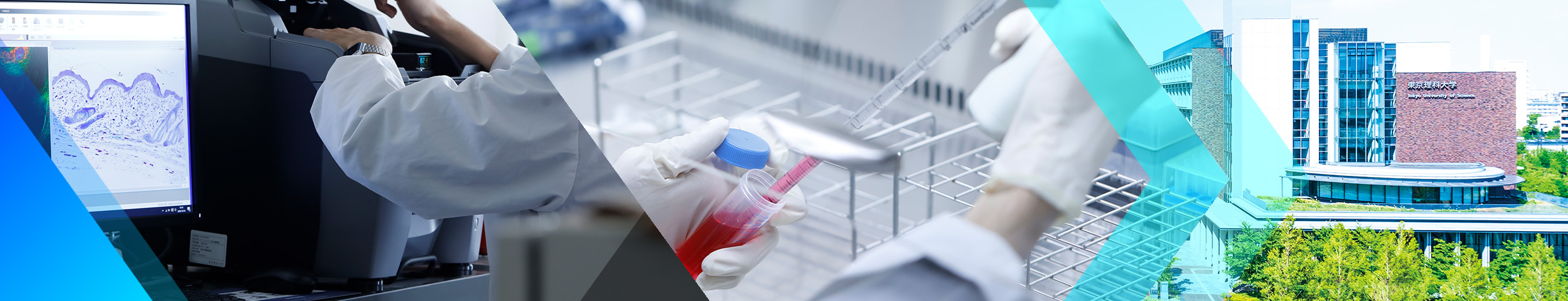 Tokyo University Of Science 東京理科大学