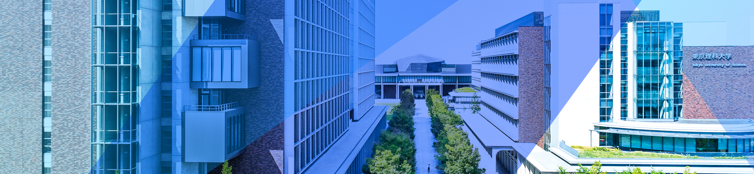 DISCOVER the TUS