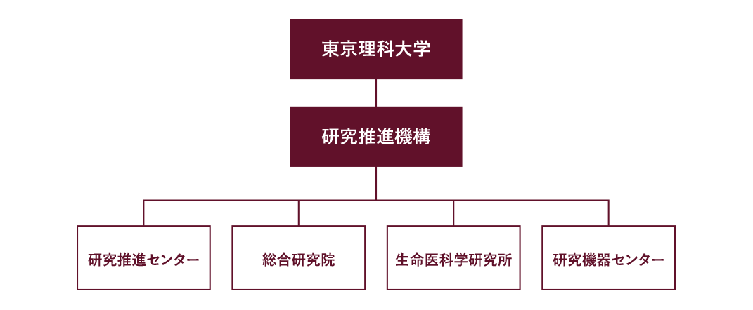 研究機関組織図