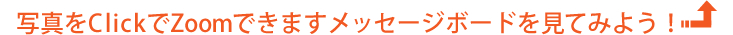写真をClickでZoomできますメッセージボードを見てみよう！