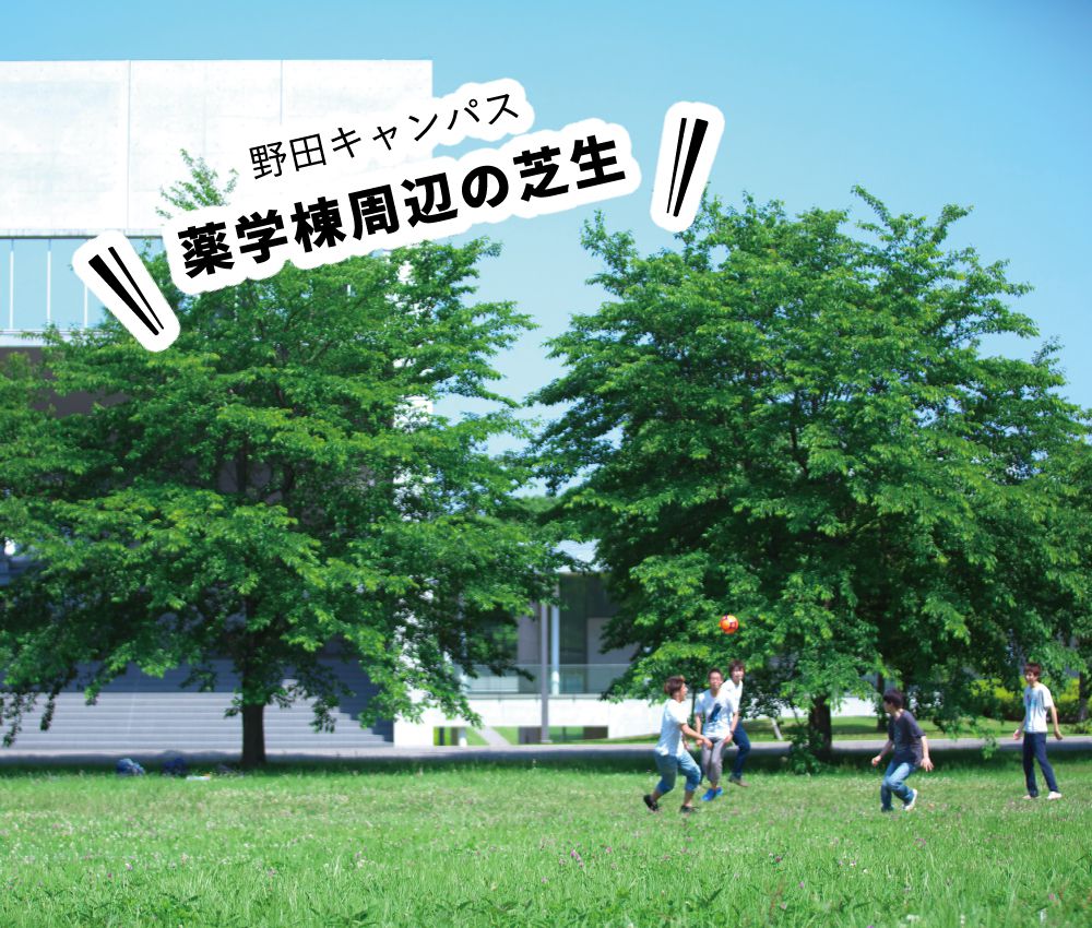 野田キャンパス 薬学棟周辺の芝生