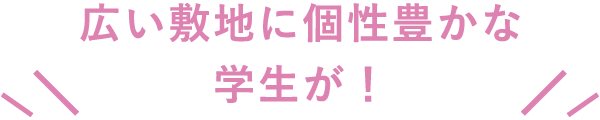 広い敷地に個性豊かな学生が！