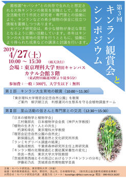 キンラン観賞会･シンポジウムを開催(4/27)