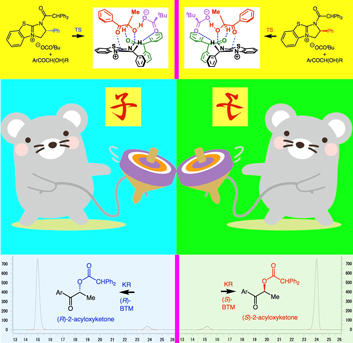 本学教員らの論文が『Asian Journal of Organic Chemistry』(2020年2月号)のCover Featureに選定