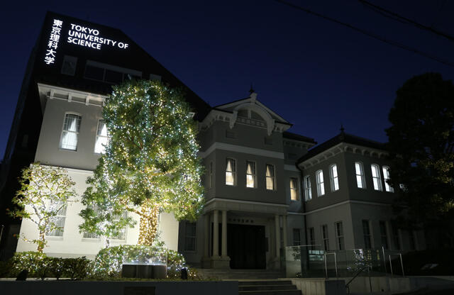神楽坂キャンパス植栽へのイルミネーション設置について