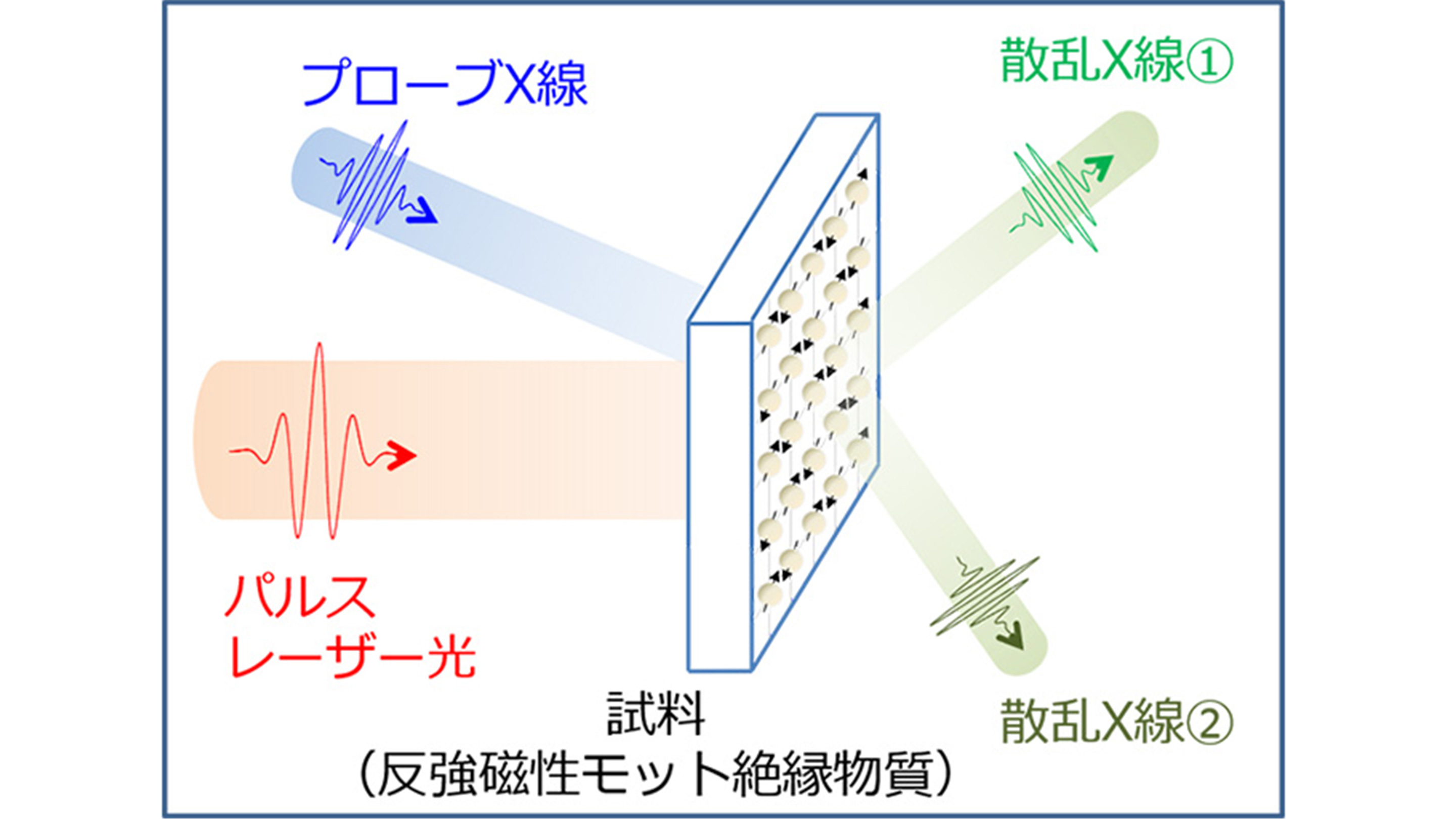 反強磁性モット絶縁物質におけるフェムト秒の電子スピン配列振動を発見― 超高速磁性ダイナミクスの探査手法を提案 ―