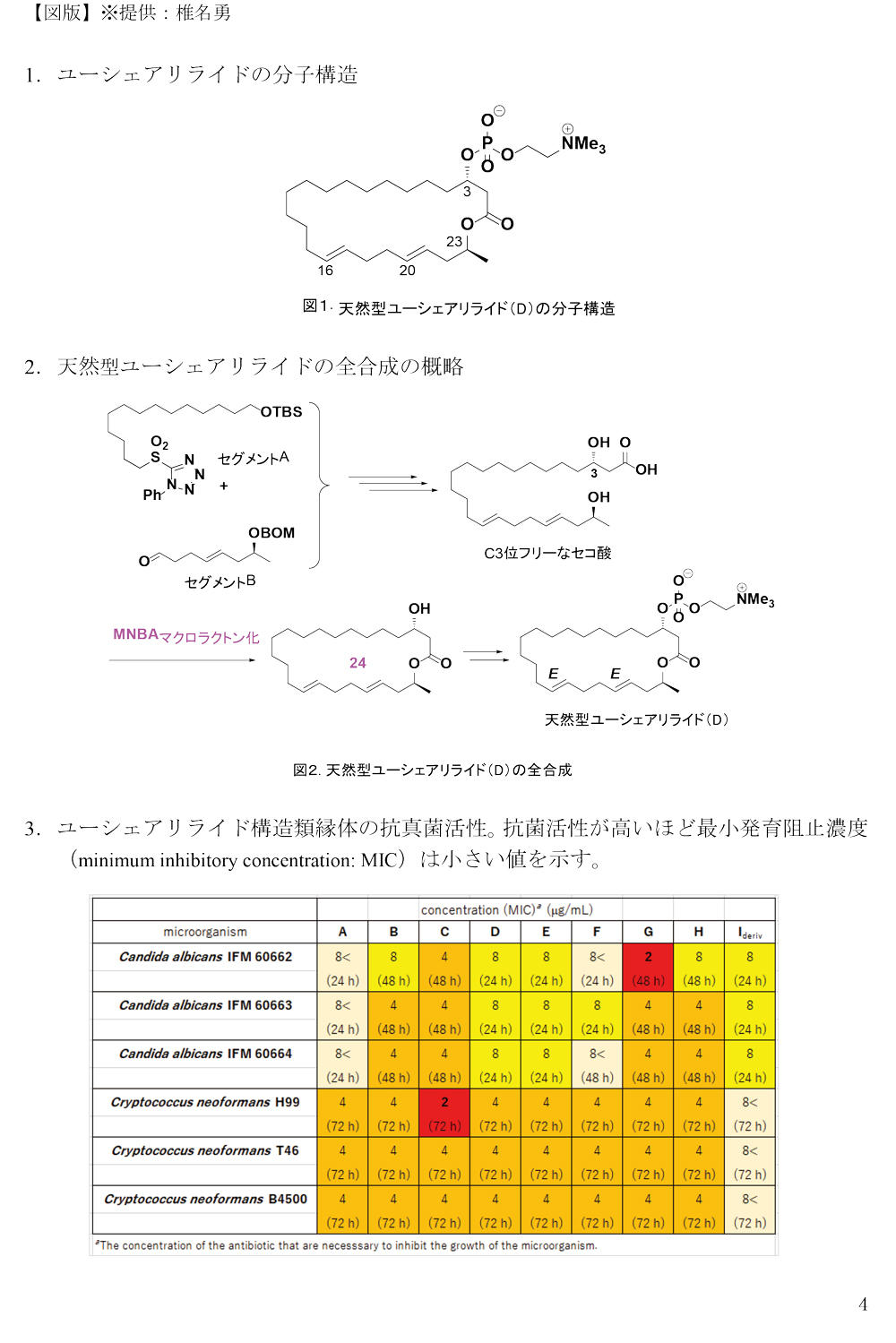 薬剤耐性菌に対する効果も！　新規抗菌性物質群の創出に成功
～新規のマクロライド系抗菌薬として今後の創薬展開に期待～   【図版】※提供：椎名勇 1.ユーシェアリライドの分子構造 2．天然型ユーシェアリライドの全合成の概略 3．ユーシェアリライド構造類縁体の抗真菌活性。抗菌活性が高いほど最小発育阻止濃度（minimum inhibitory concentration: MIC）は小さい値を示す。
