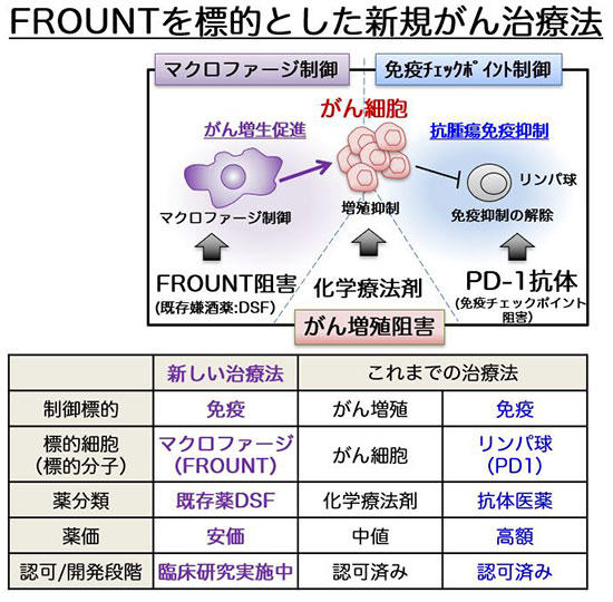 アルコール依存症治療薬「ジスルフィラム」が新しい標的タンパク(FROUNT:フロント)を阻害してがんを抑制することを発見～世界初：マクロファージを調節する抗がん剤開発への新たな道～