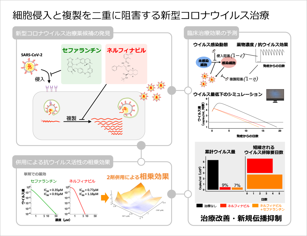 新型コロナウイルス治療薬候補となる既承認薬の発見 ～ネルフィナビル