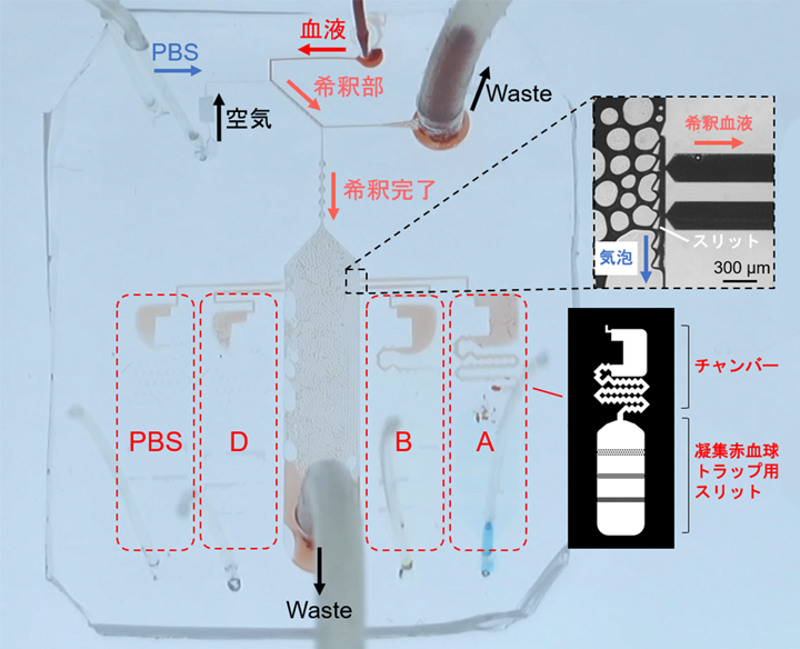 血液型の迅速かつ簡便な高感度判定を可能にする手法の開発に成功 ～医療従事者への負荷軽減や医療の質向上に寄与～