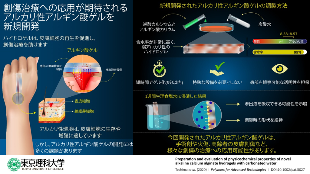 ※市販の炭酸水を用いたアルギン酸ゲルの簡便な調製方法を確立 ～創傷治療への応用に期待～