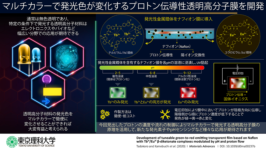 プロトン伝導に応答して発光色をマルチカラーに変化する透明高分子膜の開発に成功！-イオン移動を利用した生体のようなメカニズムで機能を発揮-