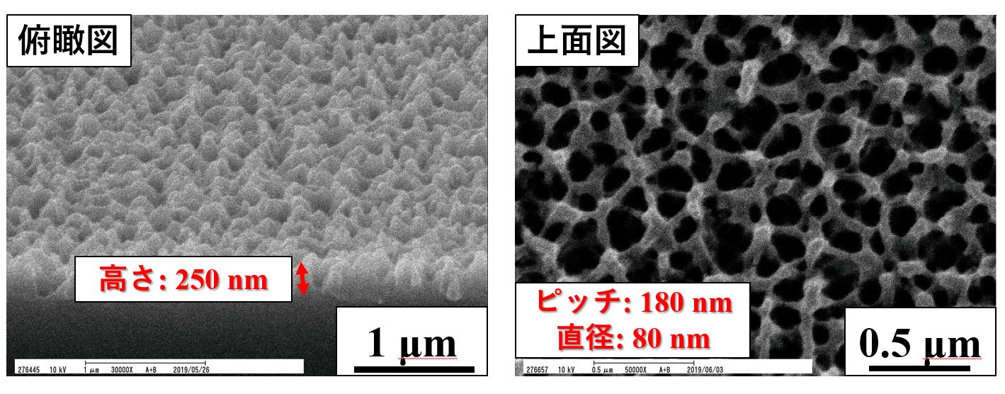 高い反射防止性能を持つモスアイフィルムの大面積化に向けた基礎技術を開発～ディスプレイや太陽電池パネルなど、様々な分野への応用に期待～