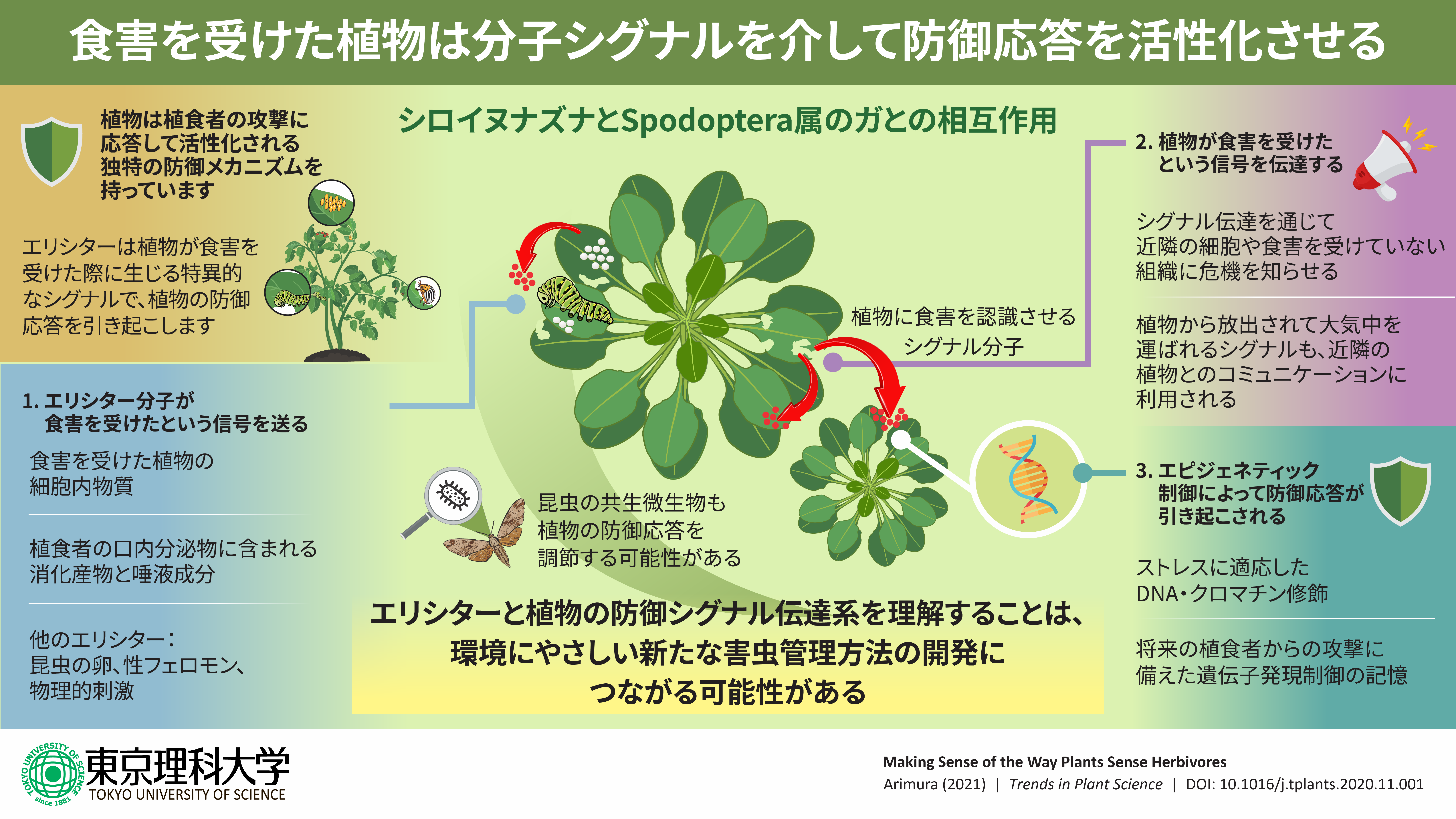 植物はどのように植食者を感知するのか～植物の植食者認識機構についてのこれまでの研究を総括し、今後の展望を探る～