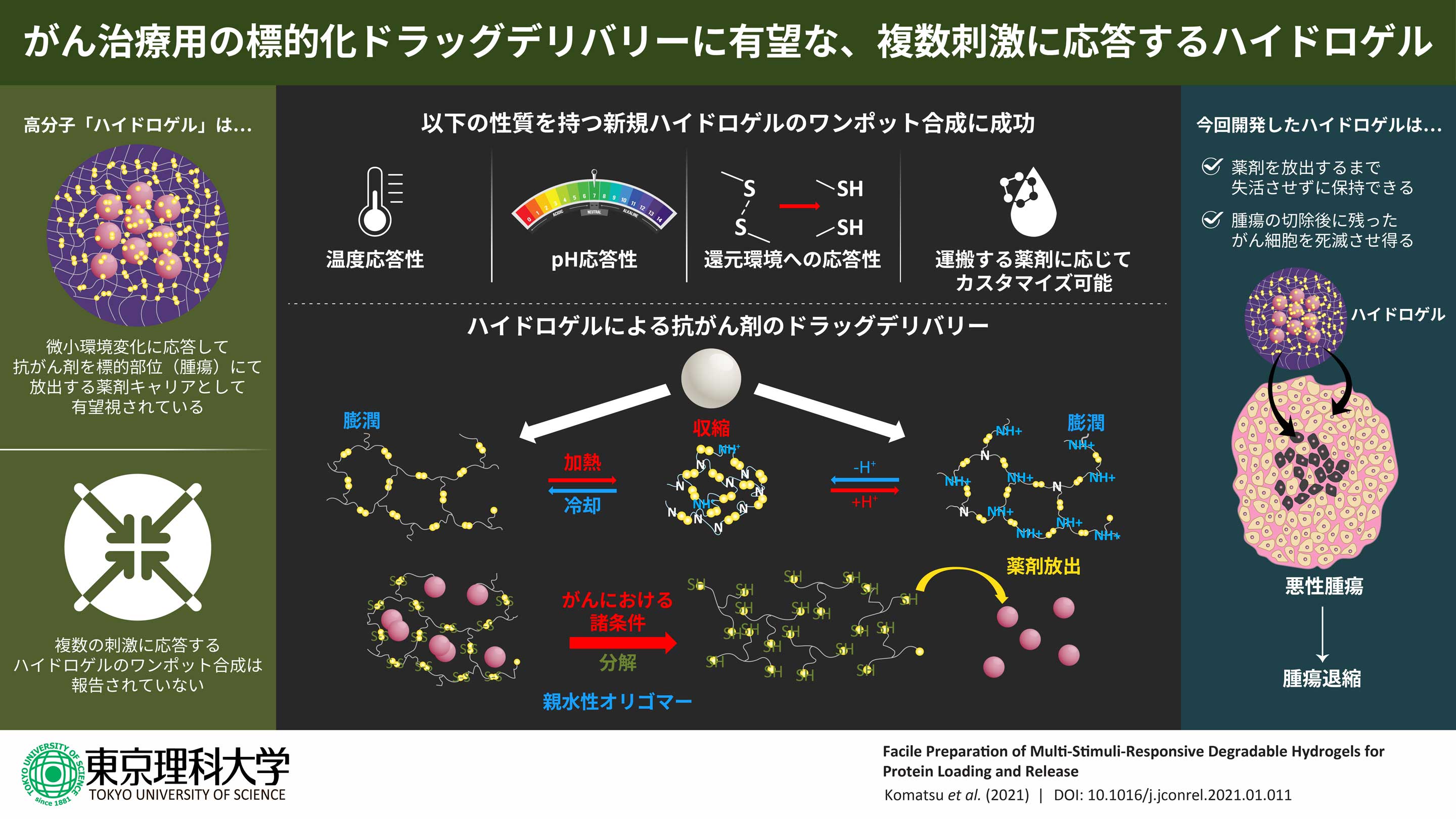 微小環境の変化に応答して薬物放出するハイドロゲルの簡便な調製方法の開発に成功～より効果的に標的部位に薬剤を送達できるがん治療技術への応用に期待～