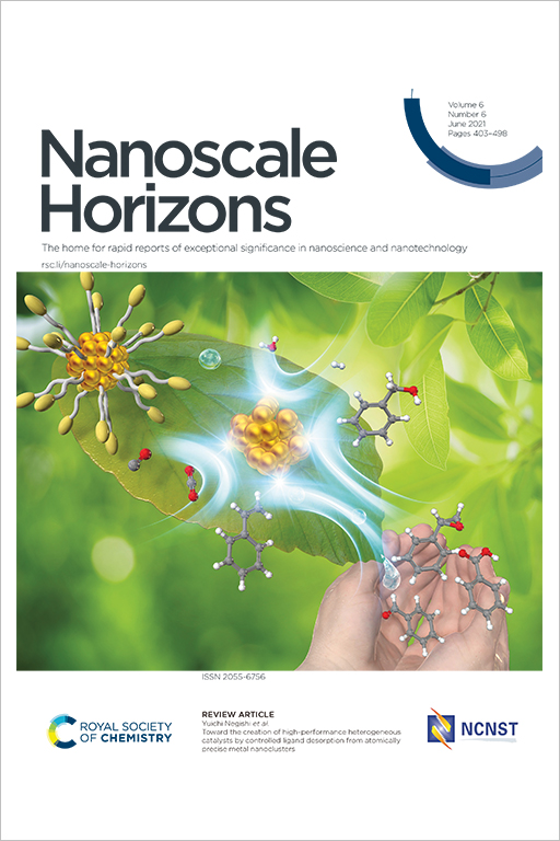 本学教員らの学術論文が英国王立化学会出版『Nanoscale Horizons』誌のFront Coverに選出