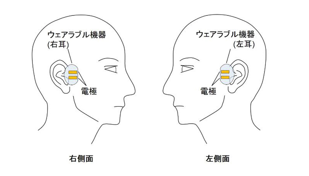 頭部の左右分離型デバイスにおける人体通信の有効性を報告～安全で低消費電力なウェアラブル機器間通信の実現に期待～