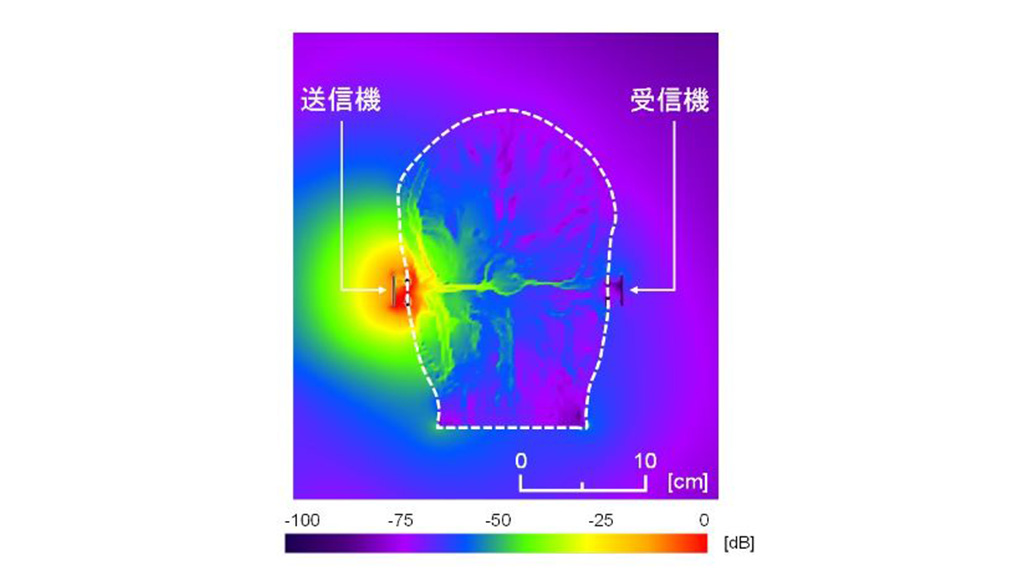 頭部の左右分離型デバイスにおける人体通信の有効性を報告～安全で低消費電力なウェアラブル機器間通信の実現に期待～